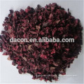 Red Beet Root Extract powder glycine betaine 10%